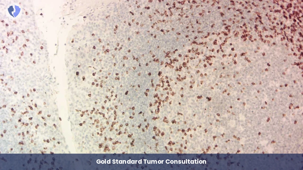 Definitive Oncology Expert Opinion - IHC Interpretation and Consultation (12 Markers)