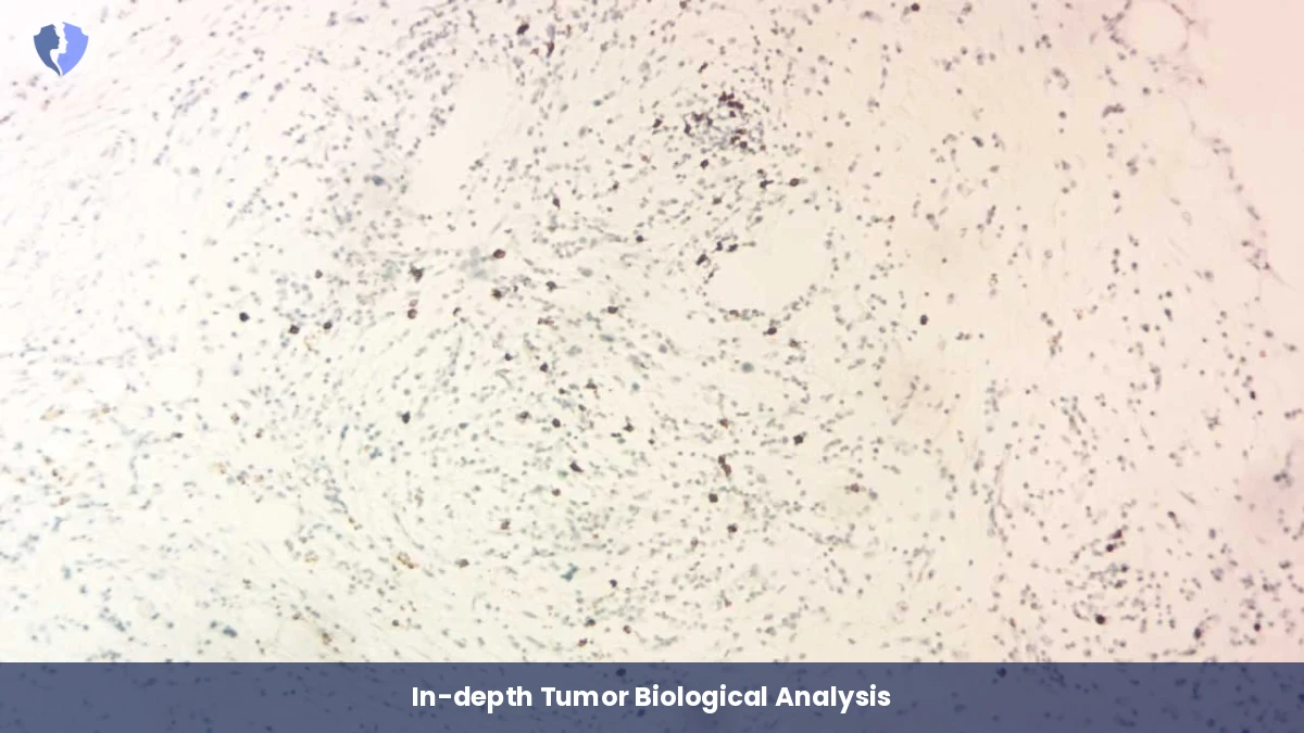 In-depth Tumor Biological Analysis - IHC Interpretation and Consultation (13 Markers)