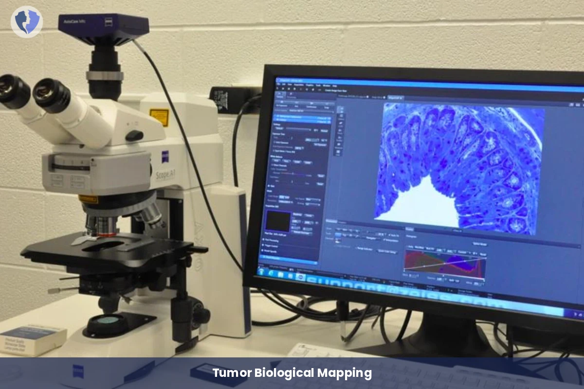 Comprehensive Immunological Tumor Map - IHC Interpretation and Consultation (14 Markers)