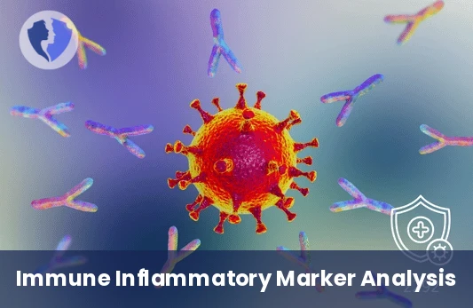 IgG4 Antibody Test - Immunoglobulin G4 (IgG4) Subclass Test