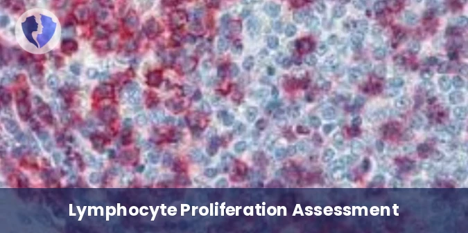 T-cell & Myeloma Diagnostic Package - Immunohistochemistry: CD43 Diagnostic Package