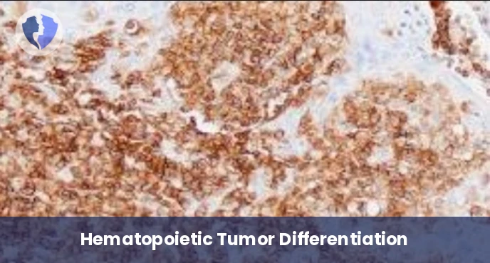 Blood and Tissue Tumor Diagnosis - Immunohistochemistry: CD45 Diagnostic Package