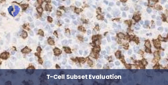 T-Cell Immune Response Test - Immunohistochemistry (IHC): CD8