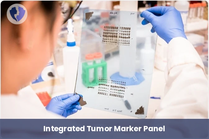 Ultimate Immune Map (17 Markers) - Immunohistochemistry (IHC) Package - 17 Markers