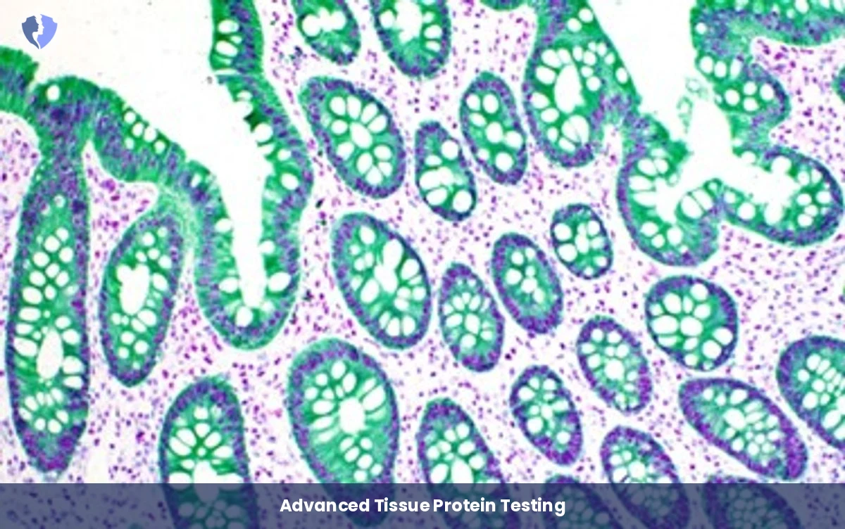 Hexagonal Tissue Immune Screening - Immunohistochemistry (IHC) Test - 6 Markers