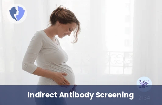 Indirect Antibody Screening