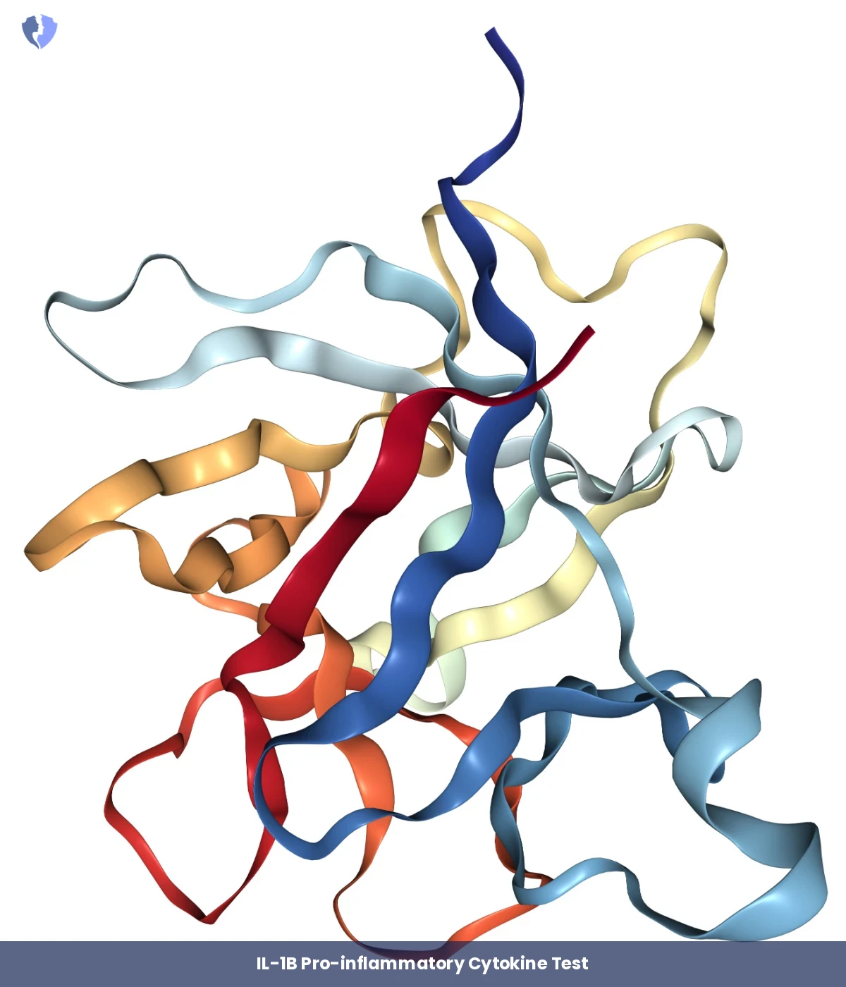 Measure Chronic Inflammation Markers - Interleukin-1 Beta (IL-1B) Test