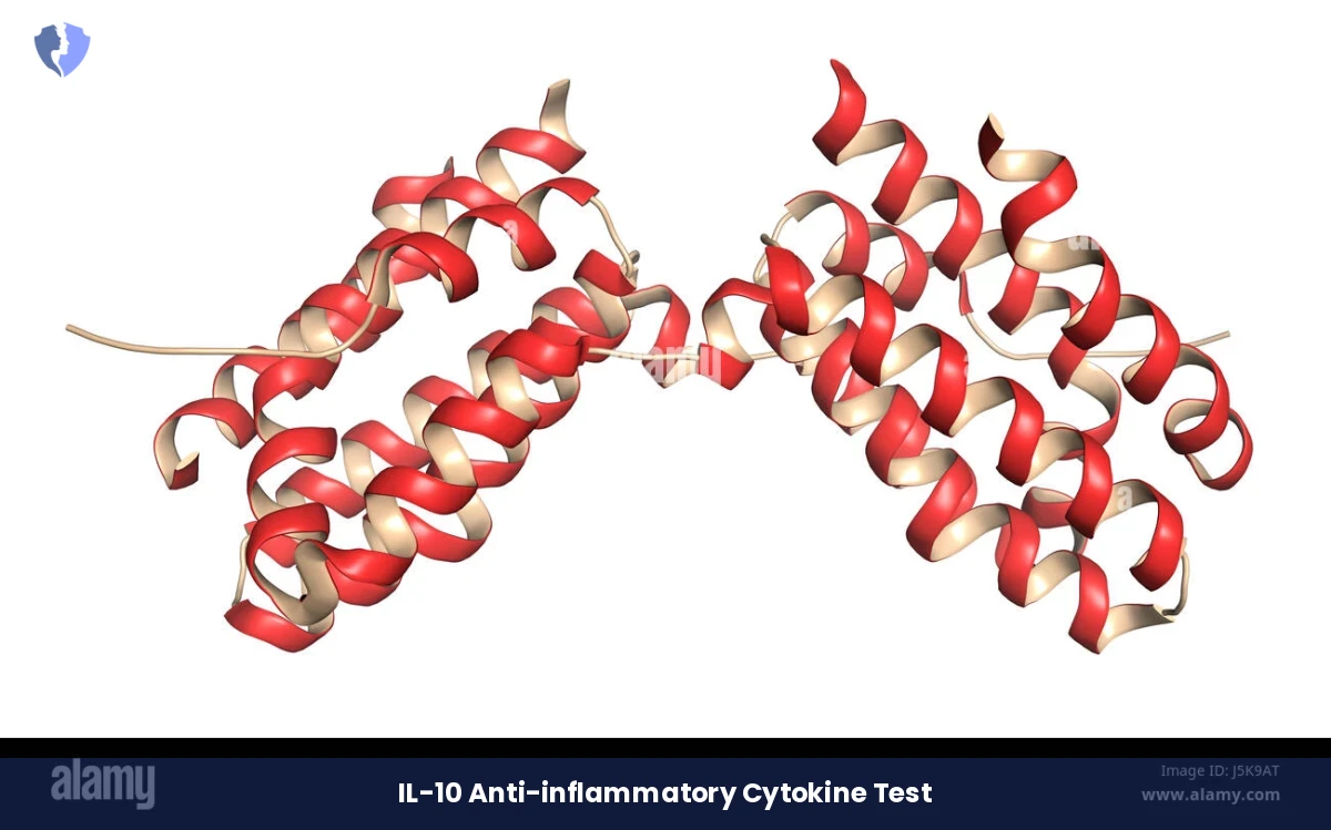 Immune System Balance Test - Interleukin-10 (IL-10) Test