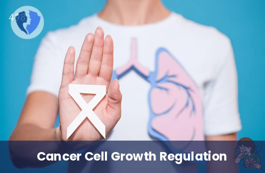 KRAS Gene Mutation Analysis - KRAS Gene Mutation Test