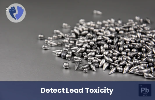 Blood Lead Level Test