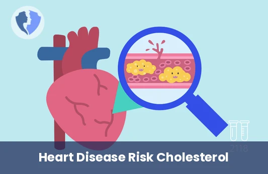 Bad Cholesterol (LDL) Test - Low-Density Lipoprotein (LDL) Cholesterol Test