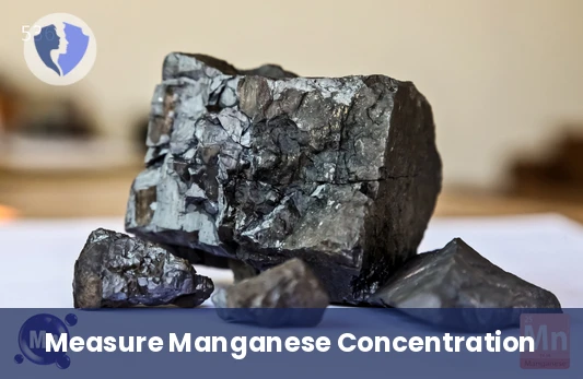 Maintain Your Essential Mineral Balance - Manganese (Mn) Test
