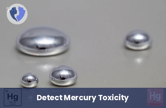 Keep Your Body Mercury-Free - Mercury (Hg) Level Test