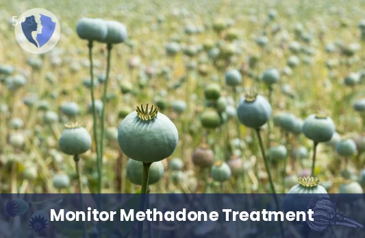 Precise Methadone Monitoring Test - Methadone Level Test