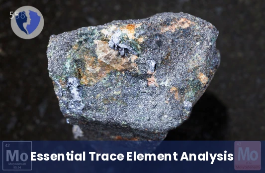 Molybdenum Mineral Check - Molybdenum Level Test
