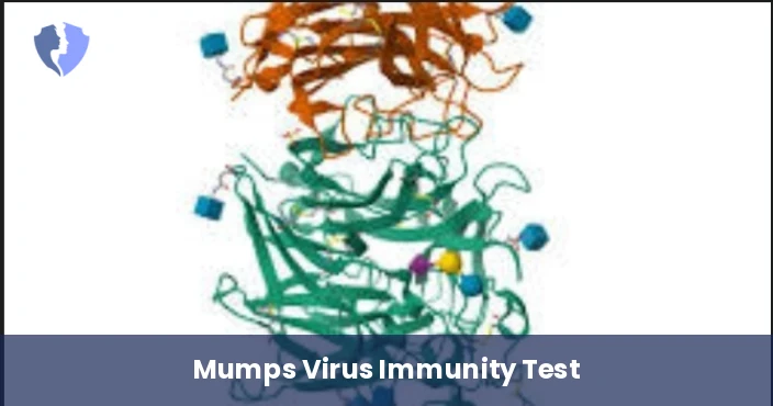 Mumps Immunity IgG Test - Mumps Virus IgG Antibody Test