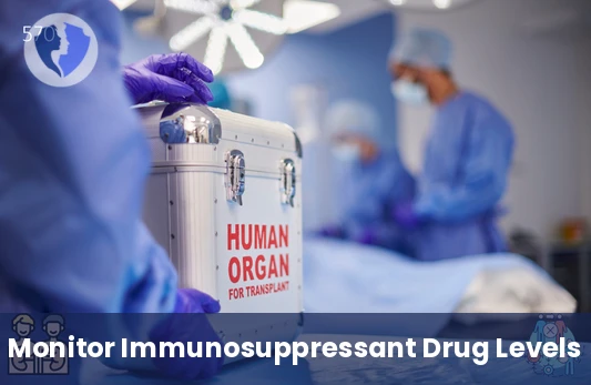Monitor Immunosuppressant Levels - Mycophenolic Acid Level Test