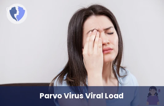 Precise Parvo Status Check - Parvo Virus B Quantitative PCR Test