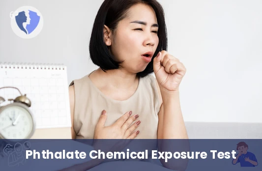 Phthalates Toxicity Test - Phthalates Test