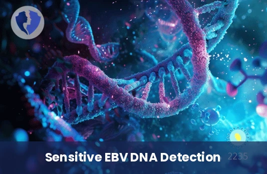 EBV DNA PCR Test - Qualitative EBV DNA by PCR