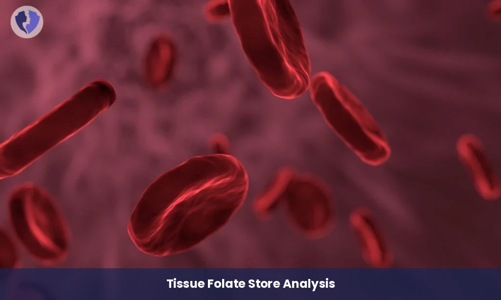 RBC Folate Storage Test - Red Blood Cell (RBC) Folate Test