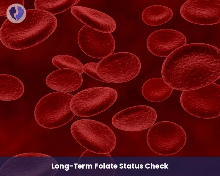 RBC Folate Storage Test - Red Blood Cell (RBC) Folate Test