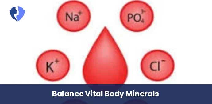 Vital Electrolytes Blood Test - Serum Electrolytes Test (Na, K, Mg, Cl)