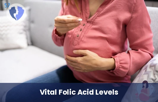 Boost Cell and Nerve Health - Serum Folic Acid Test