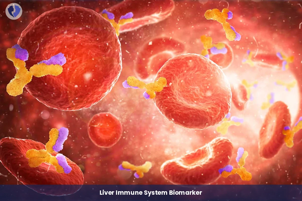 Serum Globulin Immune Test - Serum Globulin Test