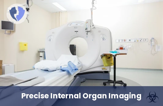 Accurate CT Scan Without Contrast - Single-Organ CT Scan without Contrast