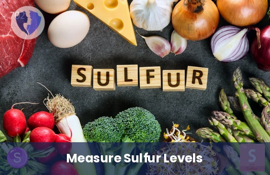 Sulfur Level for Vitality - Sulfur Level Test