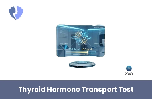 Thyroxine Binding Globulin Test - Thyroxine Binding Globulin (TBG) Test