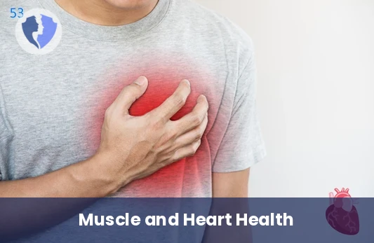 Muscle and Heart Health Check - Total Creatine Kinase (CK) Test