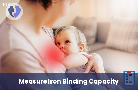 Check Your Iron Binding Capacity - Total Iron Binding Capacity (TIBC) Test