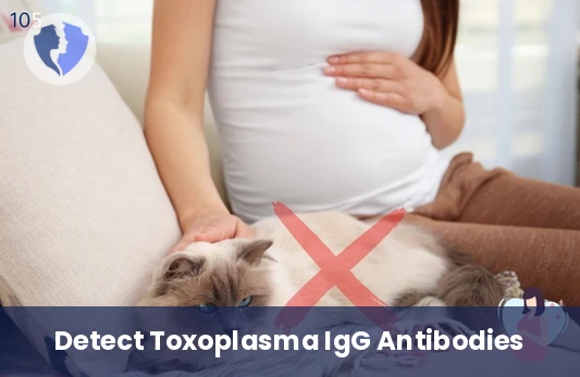 Toxoplasma Immunity Screening - Toxoplasma IgG Antibody Test