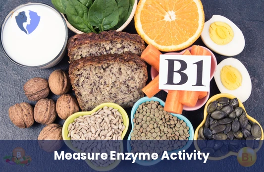 Check Your Vitamin B1 Levels - Transketolase Enzyme Test