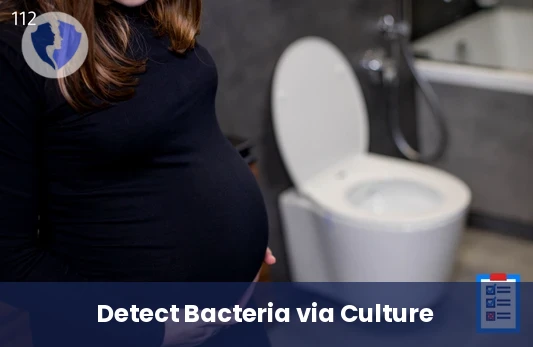 Urine Culture and Sensitivity Test