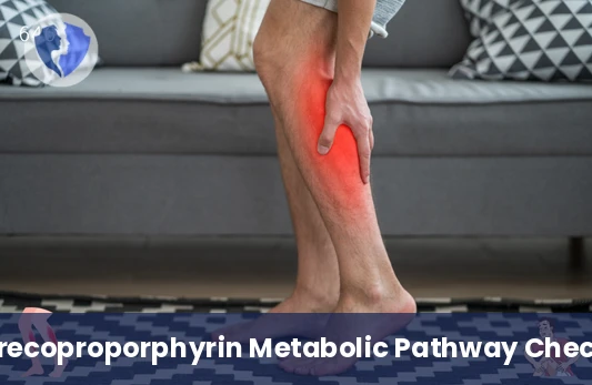Liver and Blood Health Test - Urine Precoproporphyrin Test