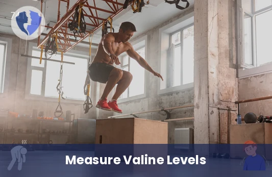 Valine Amino Acid Test - Valine Quantitative Test