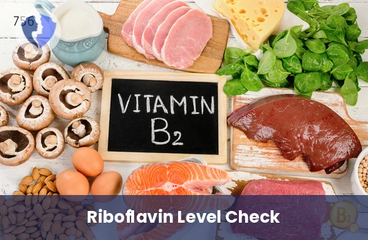 Vitamin B2 Riboflavin Test - Vitamin B2 (Riboflavin) Test