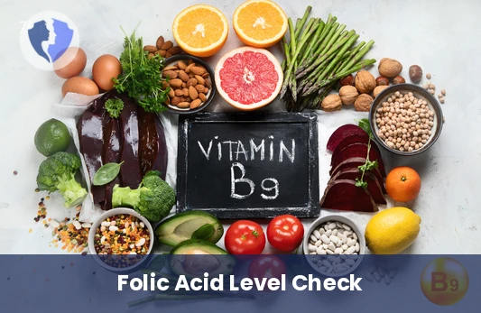 Essential Folic Acid Check - Vitamin B9 (Folic Acid) Test