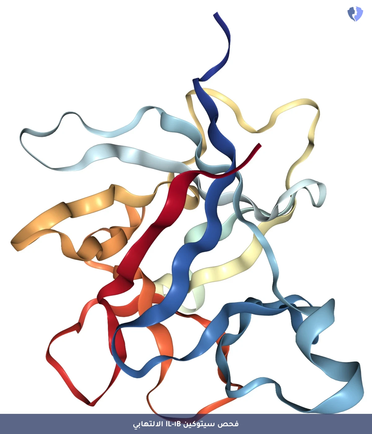 قياس مؤشرات الالتهاب المزمن - تحليل إنترلوكين 1 بيتا (IL-1B)