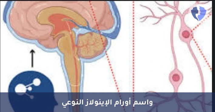 مؤشر أورام وإصابات الأعصاب - تحليل إنزيم الإينولاز النوعي للعصبونات (NSE)