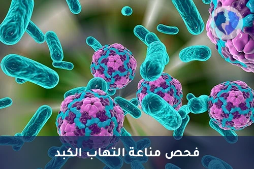 فحص مناعة الكبد الوبائي (أ) - تحليل الأجسام المضادة لفيروس التهاب الكبد أ (HAV IgG)