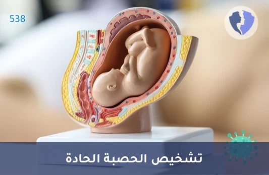 اكتشف عدوى الحصبة المبكرة - تحليل الأجسام المضادة للحصبة (Measles IgM)