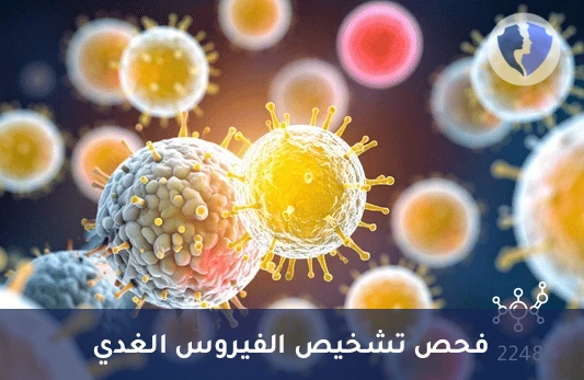 فحص الأجسام المضادة للأدينوفيروس - تحليل الأجسام المضادة للفيروس الغدي (Adenovirus Antibodies)