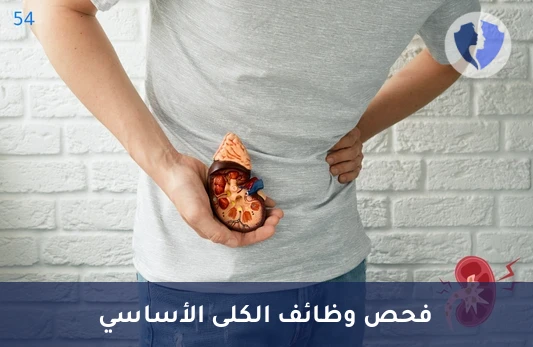 اطمئن على كفاءة كليتيك - تحليل الكرياتينين في المصل (Creatinine)