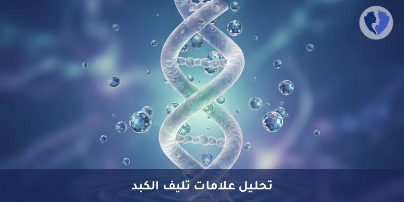 فحص مؤشر تليف الكبد - تحليل ببتيد البروكولاجين الثالث (PIIINP)