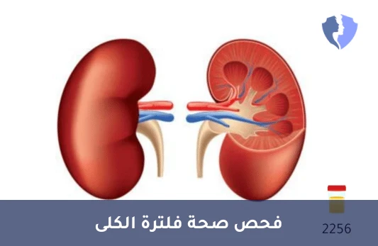 فحص كفاءة أنابيب الكلى - تحليل بيتا 2 ميكروجلوبولين في البول (Beta 2 Microglobulin)