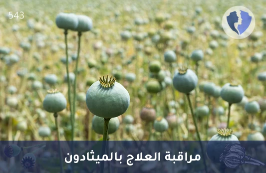 فحص دقيق لمستوى الميثادون - تحليل مستوى الميثادون (Methadone)